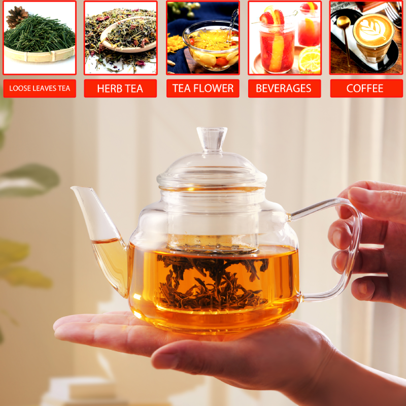 17oz Stovetop Safe Glass Teapot with Removable Filter Spout