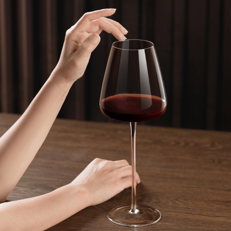 Lot de 2 verres à vin à longue tige de 22 oz pour fêtes